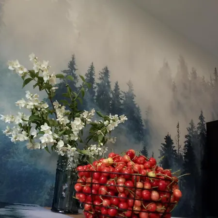 Feriehus Pod Czeresnia *